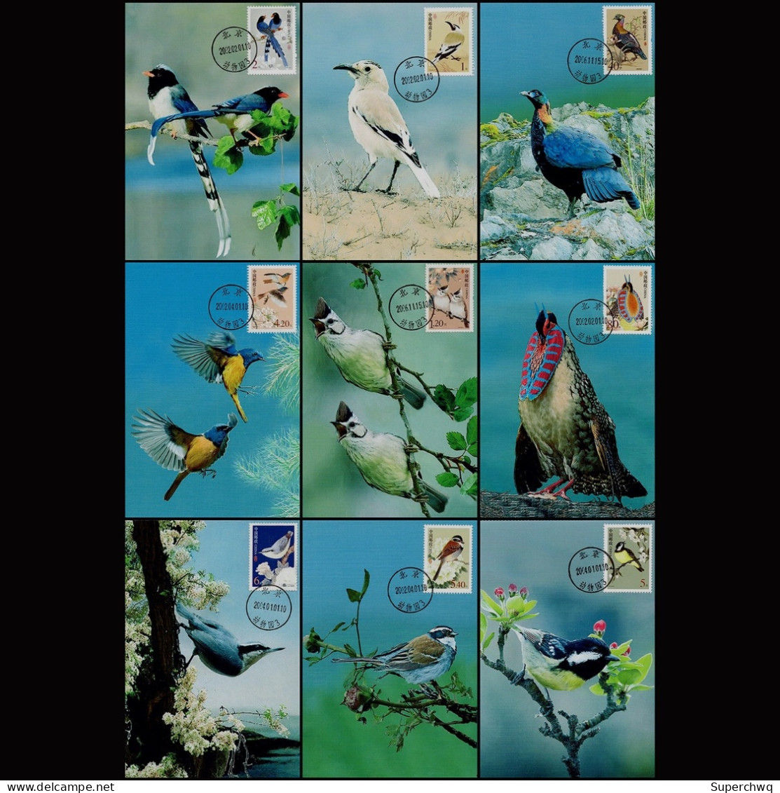 China Maximum Card,R31 Chinese Bird,9 Pcs - Maximumkarten