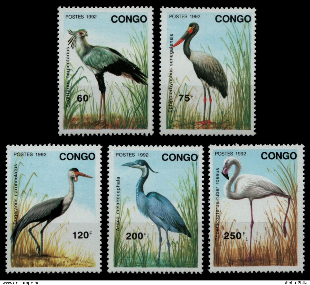 Kongo-Brazzaville 1992 - Mi-Nr. 1320-1324 ** - MNH - Vögel / Birds - Nuevas/fijasellos