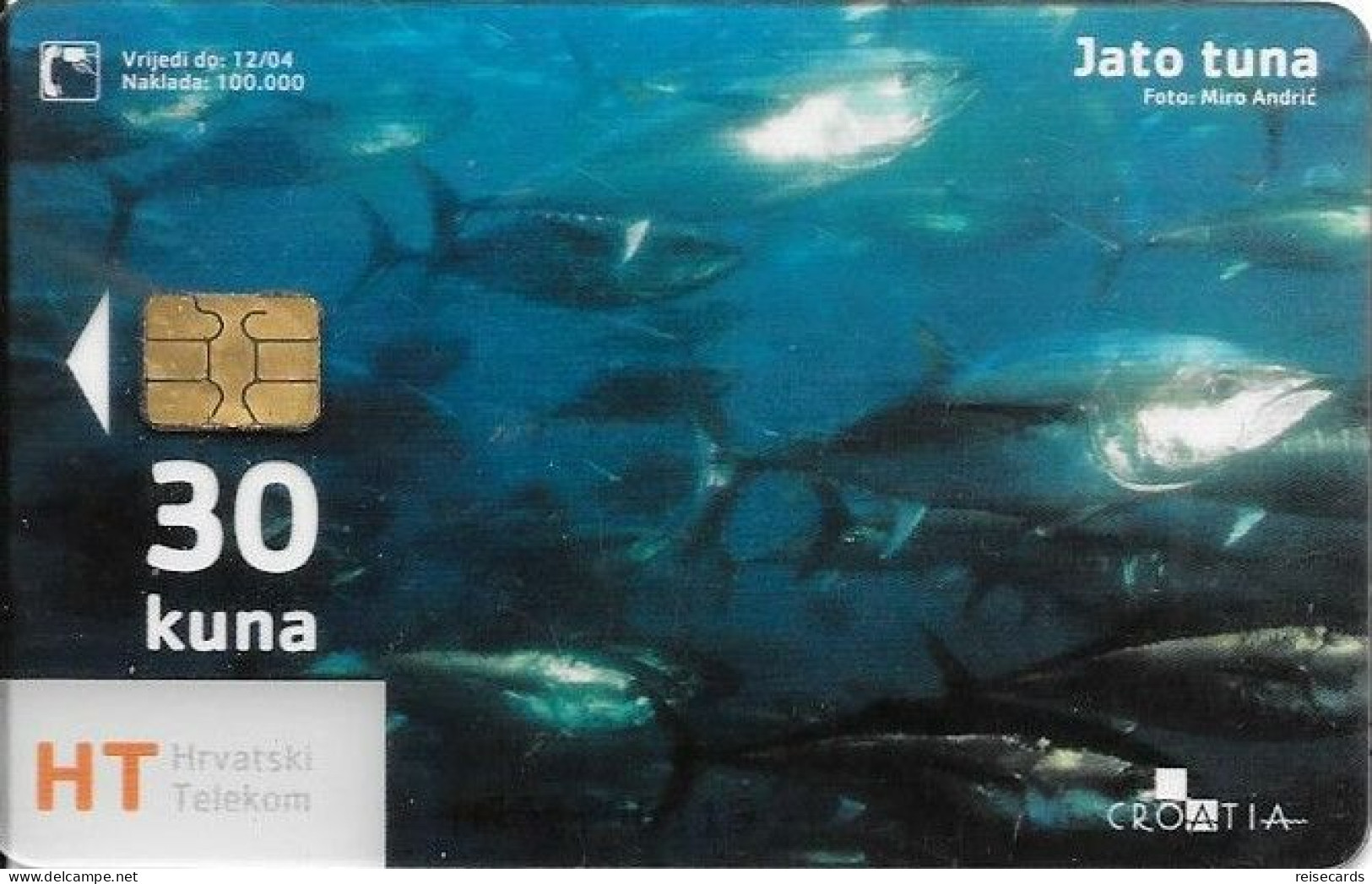 Croatia: Hrvatski Telekom - Underwater World, Jato Tuna. Transparent - Kroatien