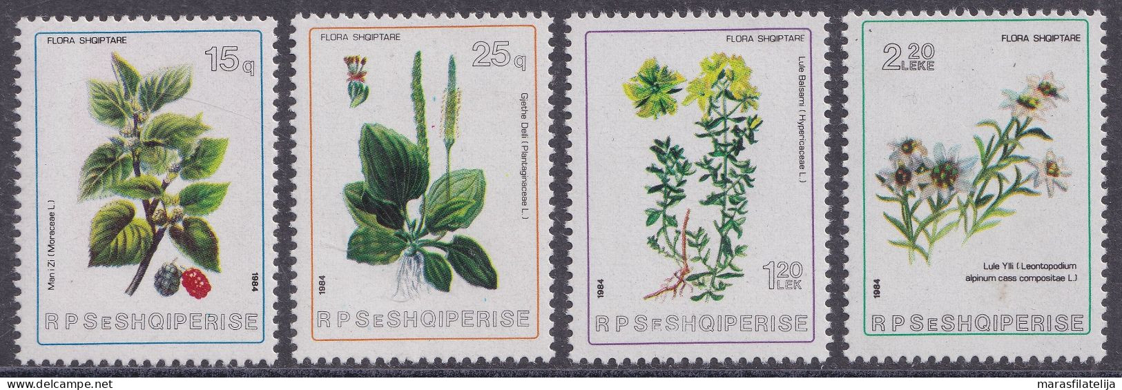 Albania, 1984, Flora; Runoleaf, Black Mulberry, Plantago Major, Rose-of-Sharon - Albania