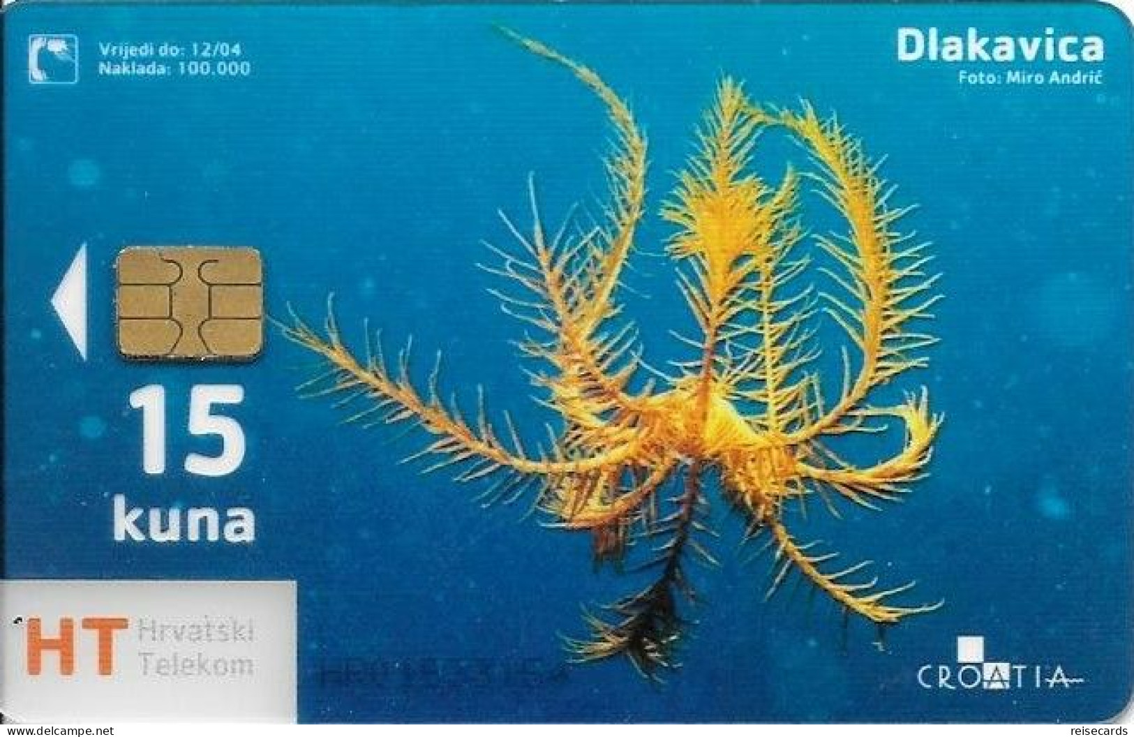 Croatia: Hrvatski Telekom - Underwater World, Dlakavica. Transparent - Kroatien