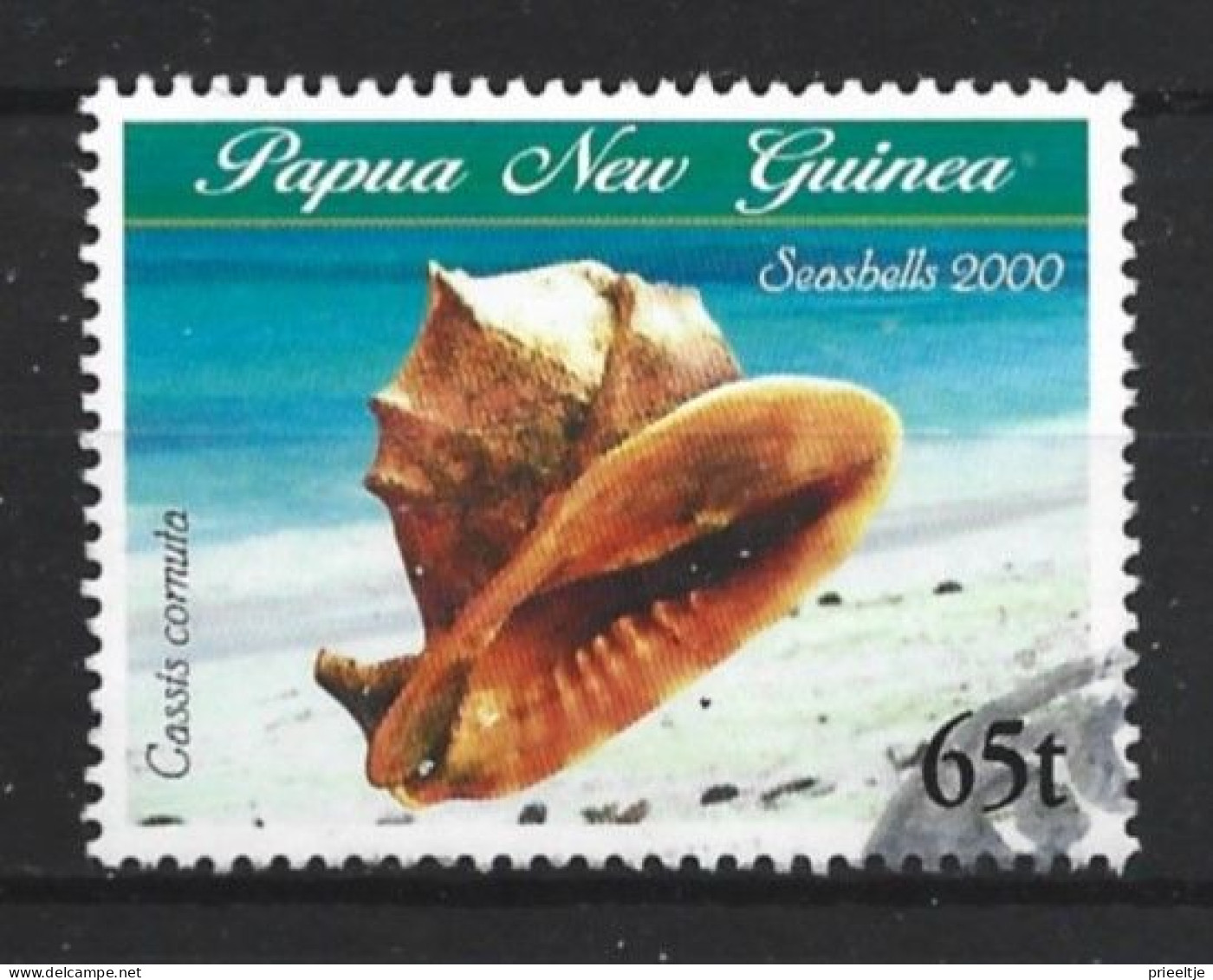 Papua N. Guinea 2000 Shells Y.T. 833 (0) - Papouasie-Nouvelle-Guinée