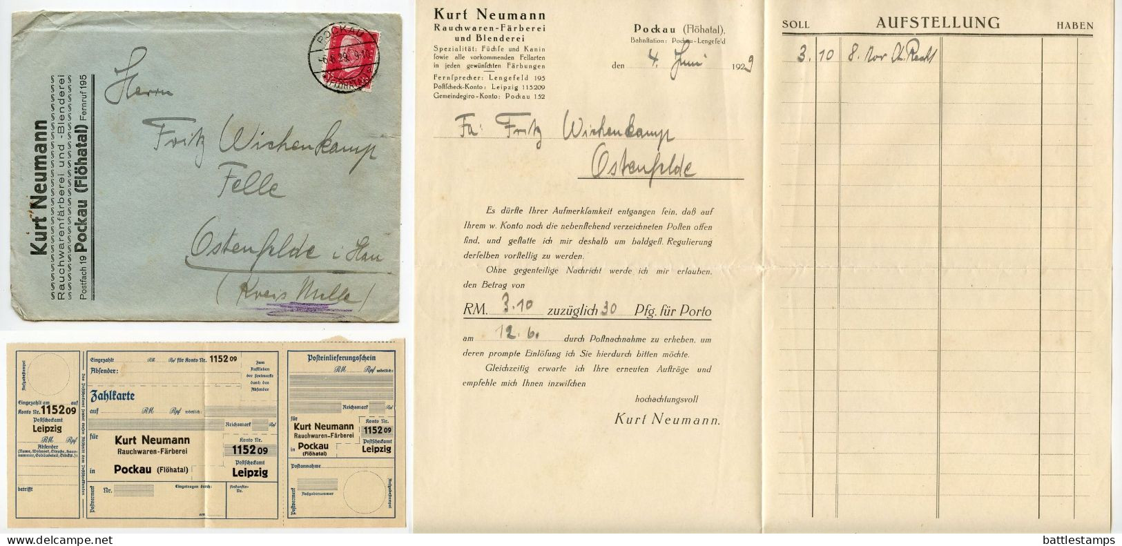 Germany 1929 Cover W/ Letter & Zahlkarte; Pockau (Flöhatal) - Rauchwarenfärberei Und Blenderei; 15pf. Hindenburg - Briefe U. Dokumente