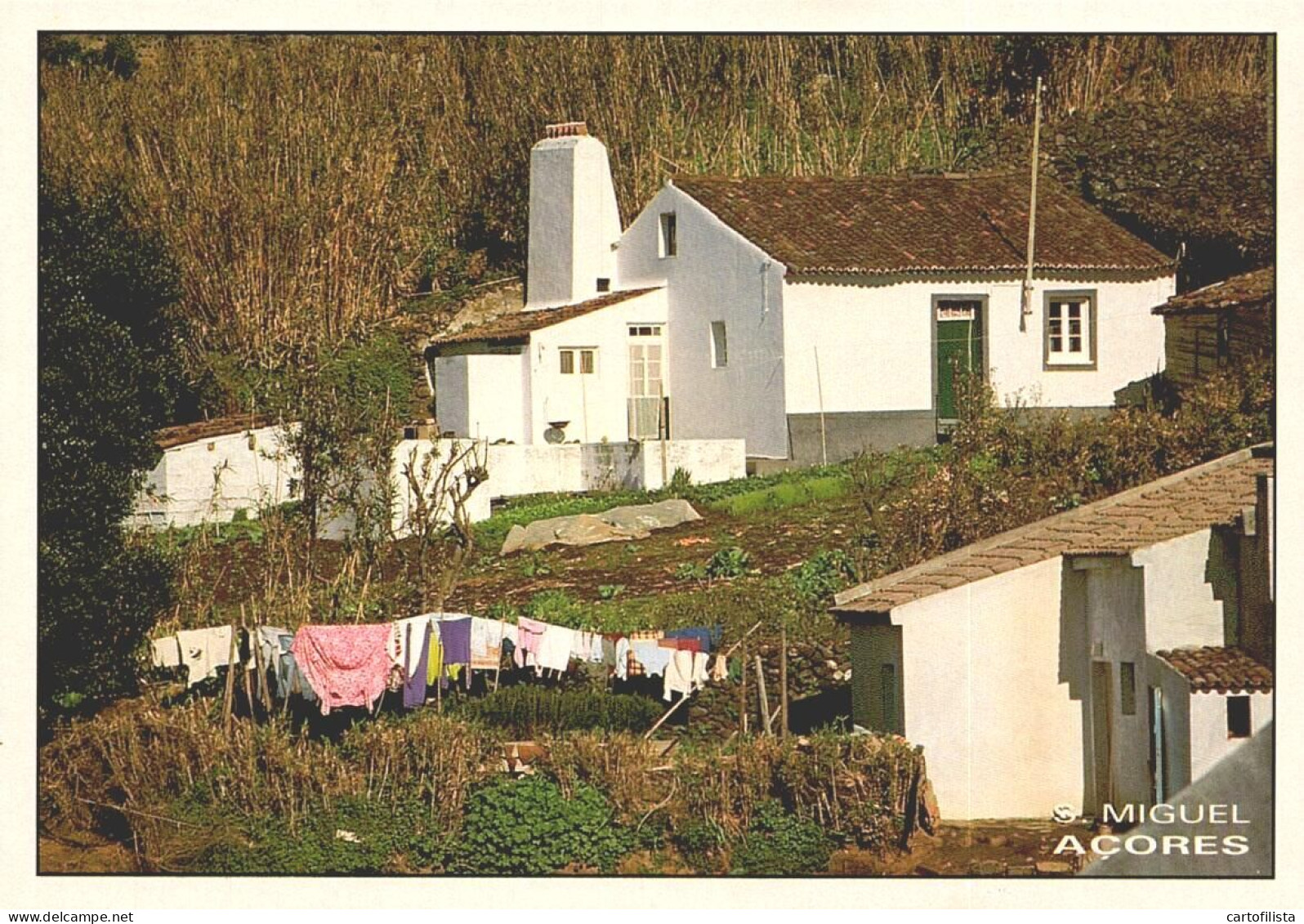 AÇORES, SÃO MIGUEL - Casa Rural  (2 Scans) - Açores