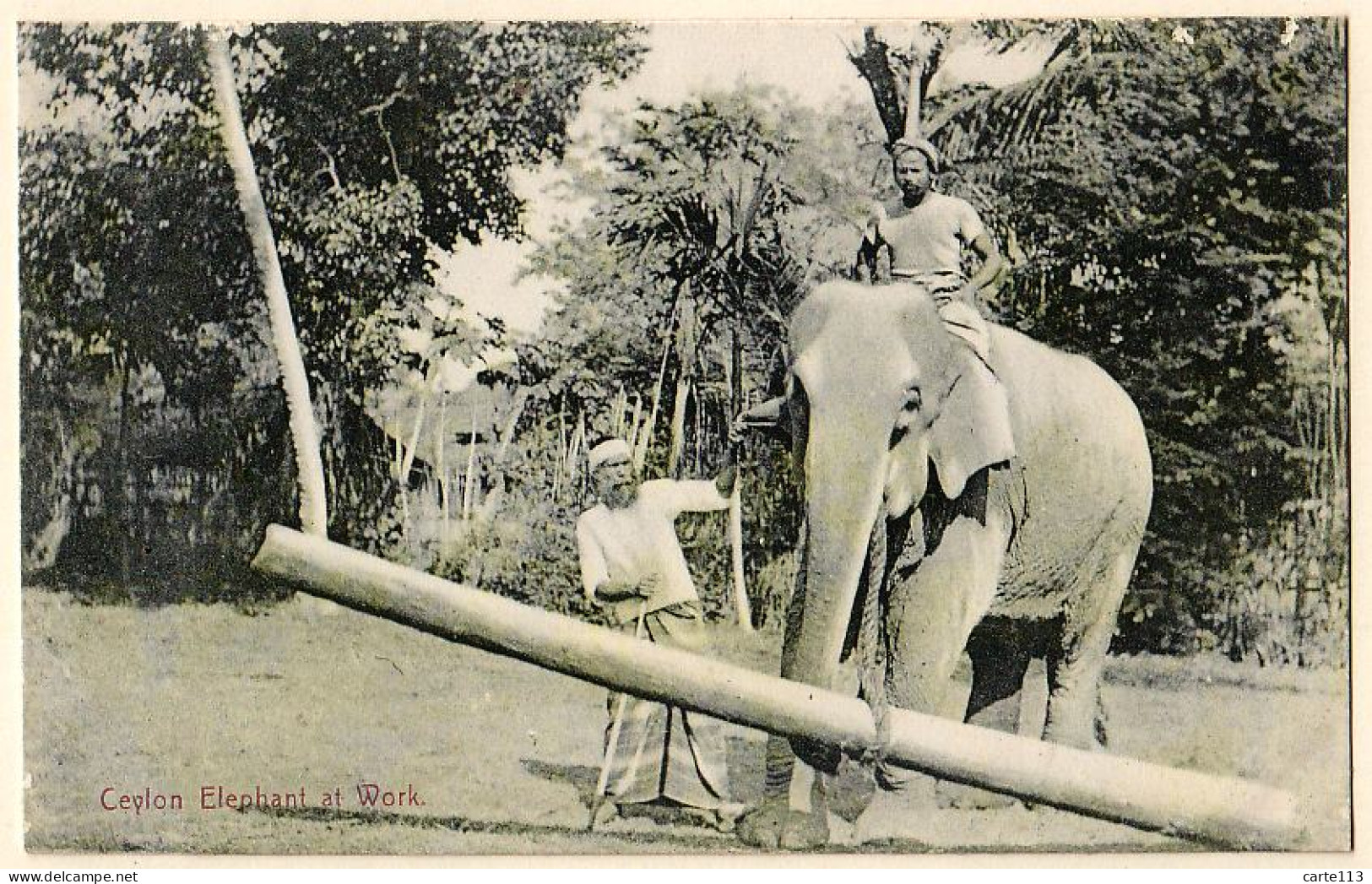 0 - B19969CPA - CEYLON - SRI LANKA - CEYLAN - Elephant At Work - Très Bon état - ASIE - Sri Lanka (Ceylon)