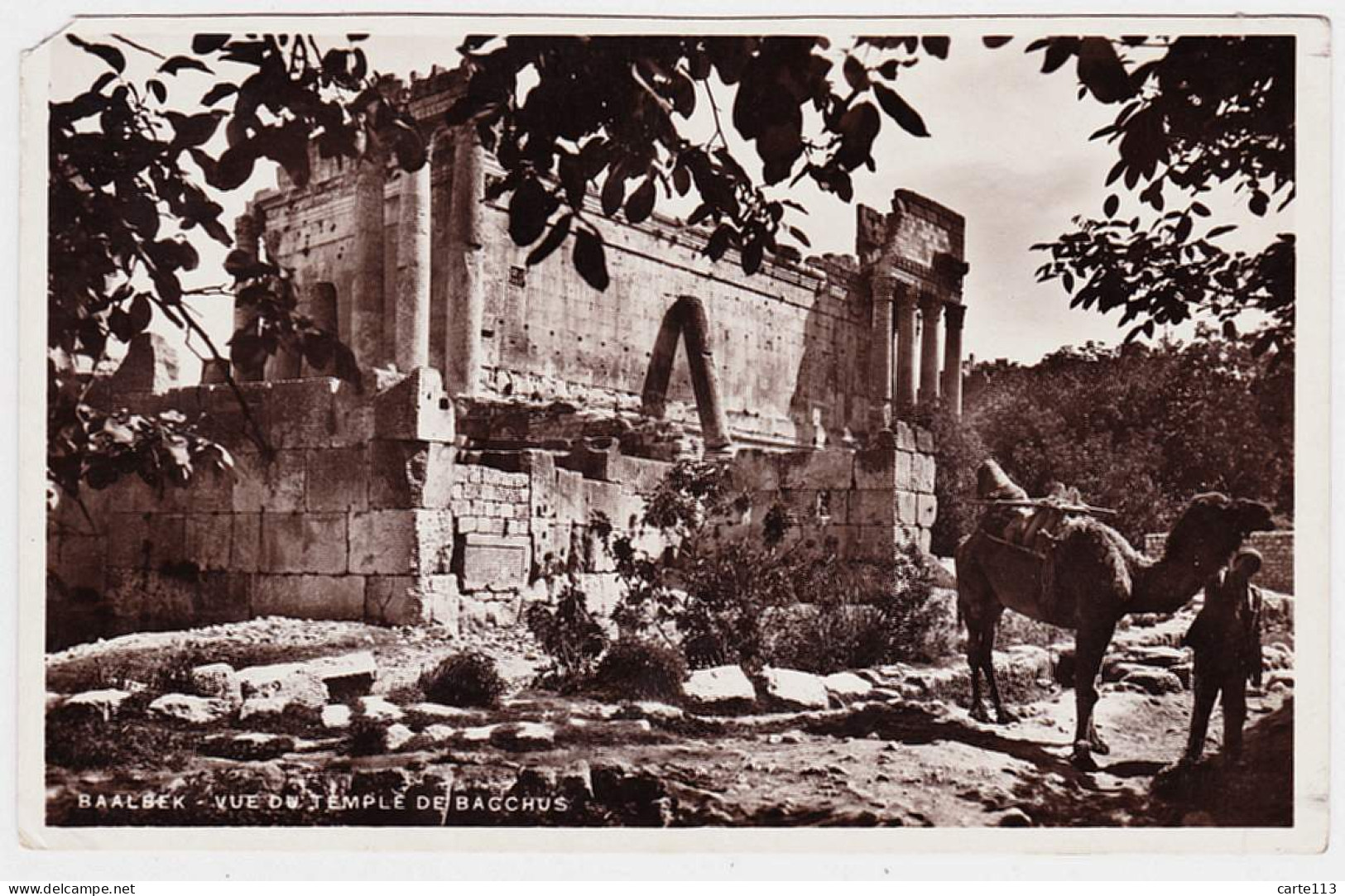 0 - B20554CPA - SYRIE - BAALBEK - Vue Du Temple De Bacchus - Assez Bon état - ASIE - Syria