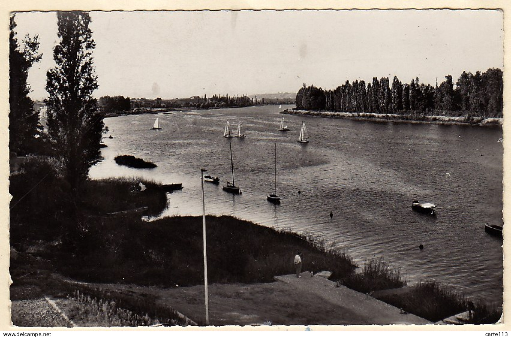 69 - B19512CPSM - NEUVILLE SUR SAONE - Voiliers Sur La Saone - Très Bon état - RHONE - Neuville Sur Saone