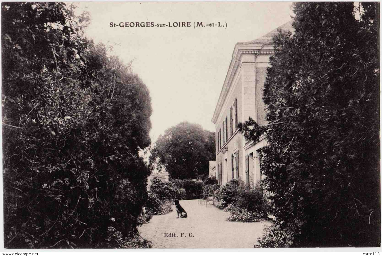 49 - B22789CPA - SAINT GEORGES SUR LOIRE - Sans Légende - Parfait état - MAINE ET LOIRE - Saint Georges Sur Loire