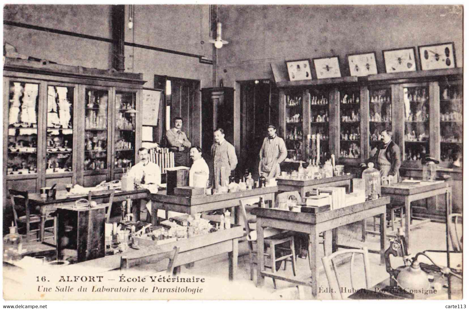 94 - B22199CPA - ALFORT - Ecole Veterinaire -Laboratoire De Parasitologie - Parfait état - VAL-DE-MARNE - Sonstige & Ohne Zuordnung