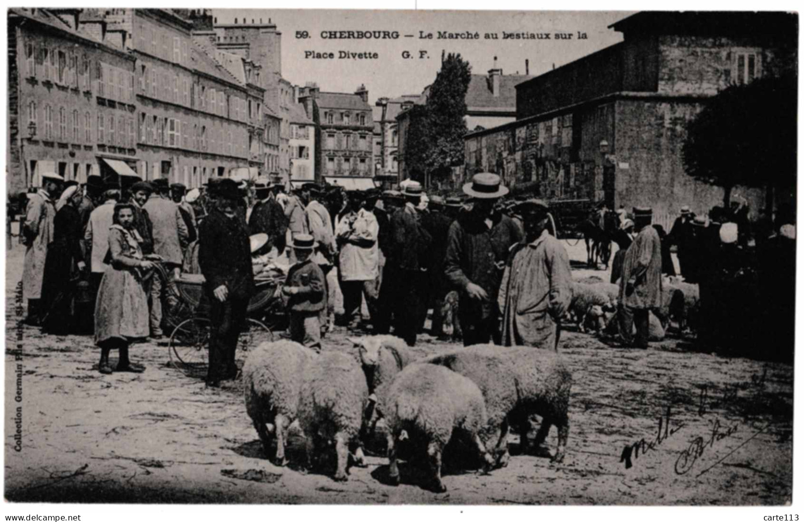 50 - B23251CPA - CHERBOURG - Le Marché Aux Bestiaux  Sur La Place Divette - Moutons - Carte Pionnière - Très Bon état - - Cherbourg