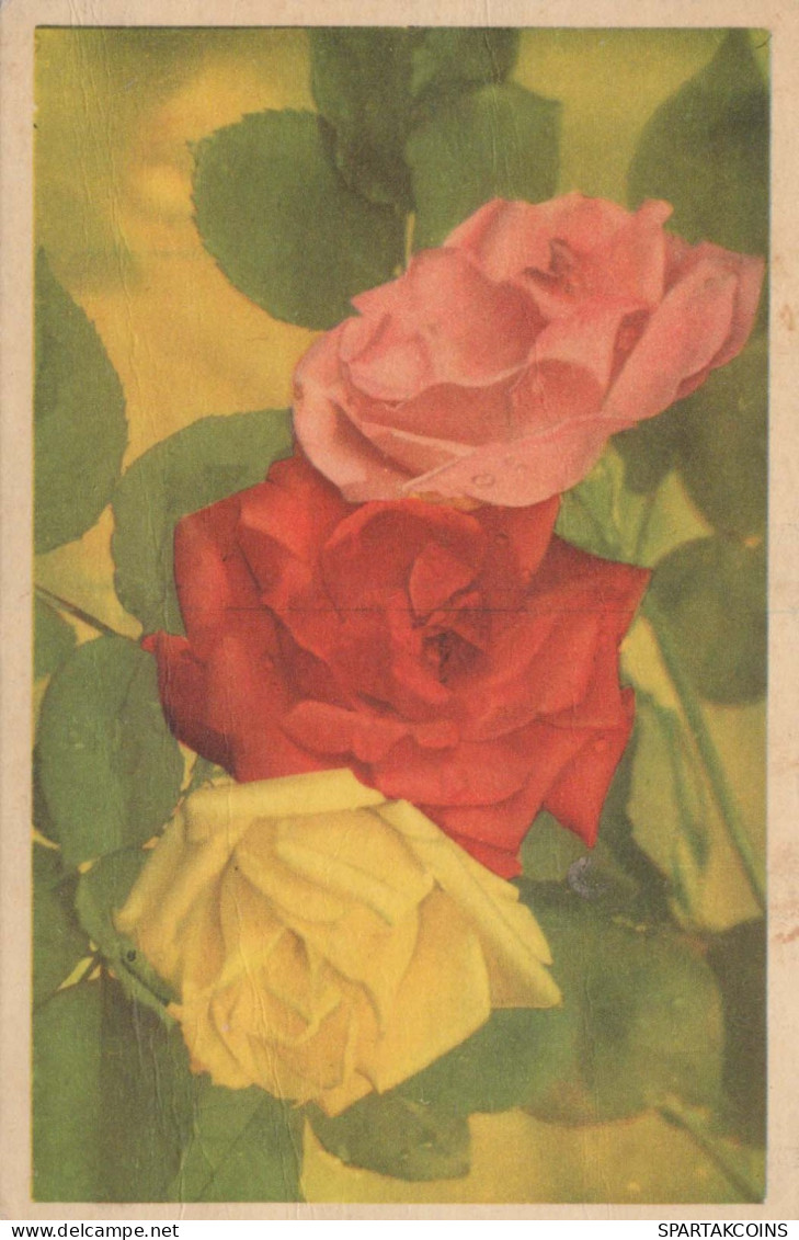 FLOWERS Vintage Ansichtskarte Postkarte CPA #PKE632.DE - Fleurs