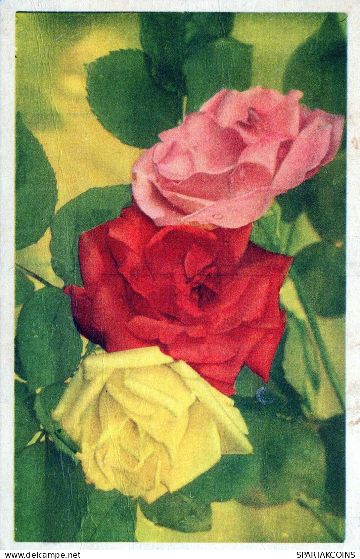 FLOWERS Vintage Ansichtskarte Postkarte CPA #PKE632.DE - Fiori