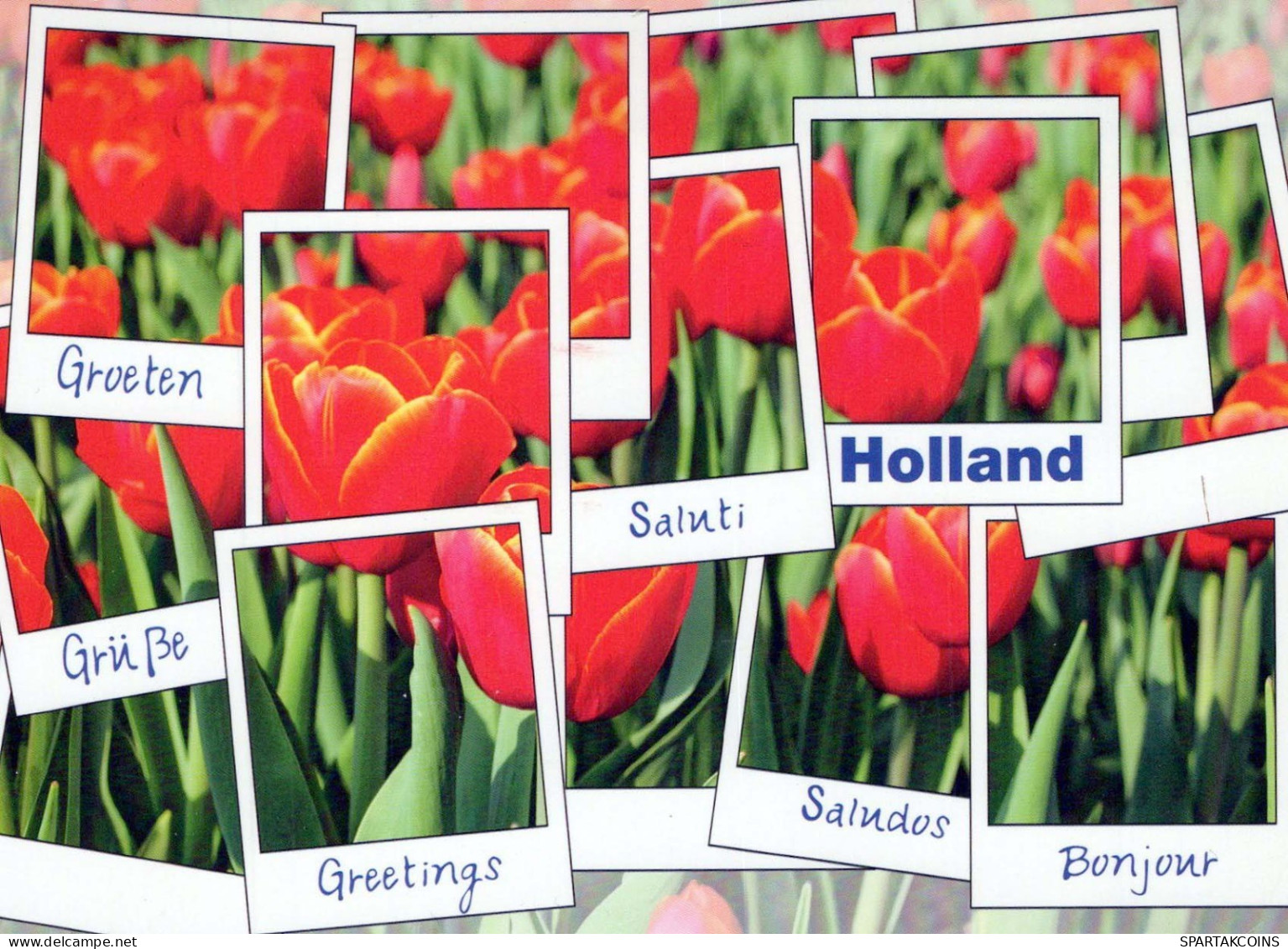 FLOWERS Vintage Ansichtskarte Postkarte CPSM #PBZ941.DE - Flowers