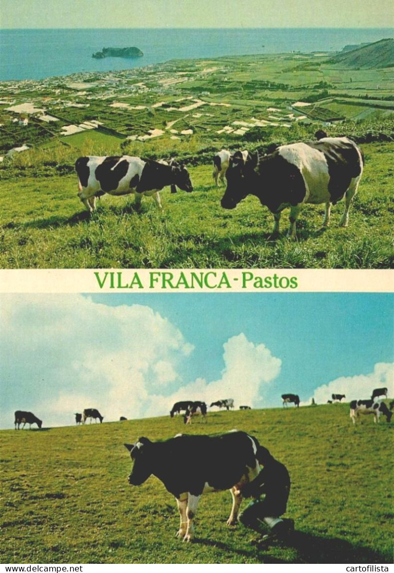 AÇORES, SÃO MIGUEL - Pastos De Vila Franca Do Campo  (2 Scans) - Açores