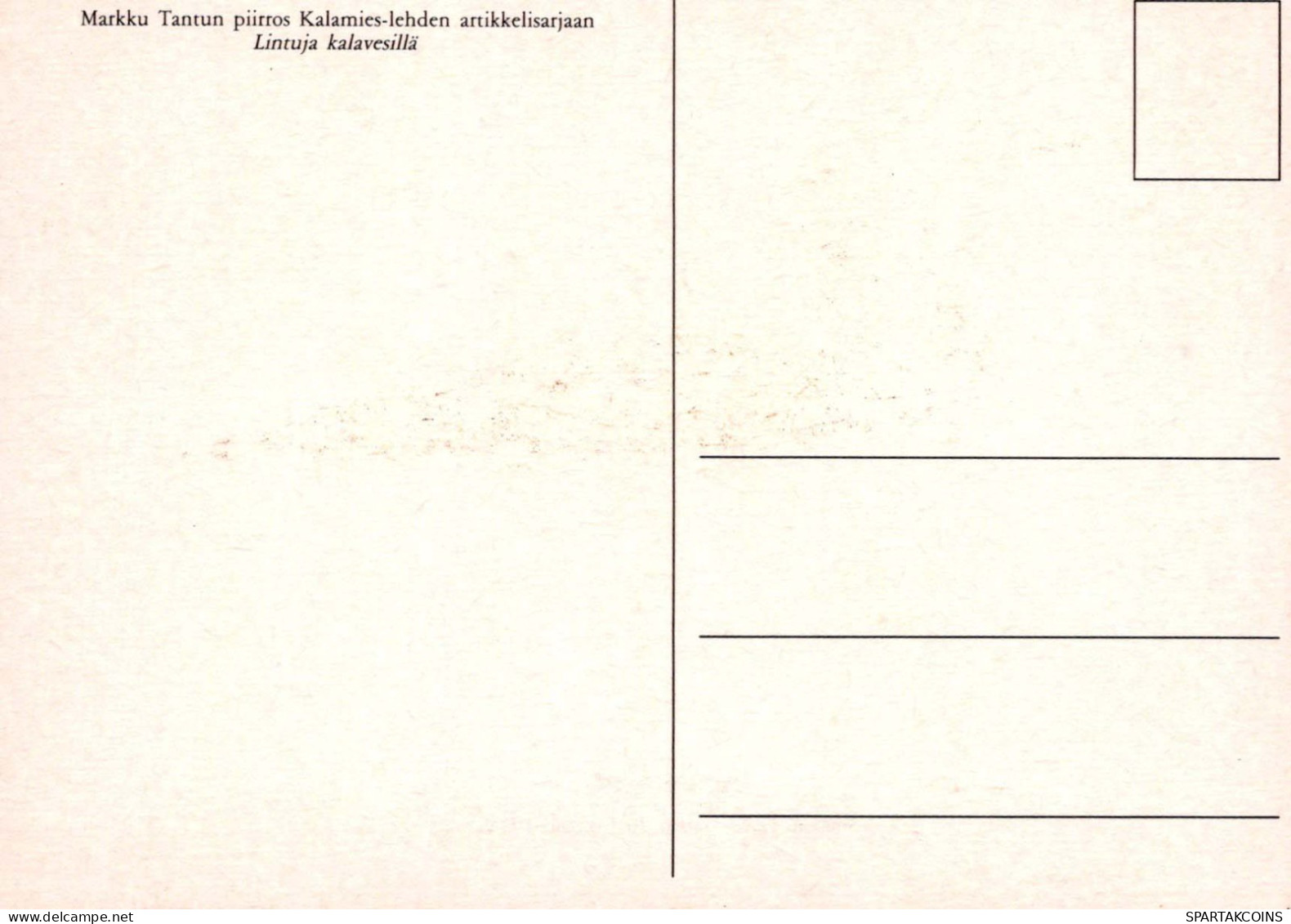 VOGEL Tier Vintage Ansichtskarte Postkarte CPSM #PBR567.DE - Uccelli