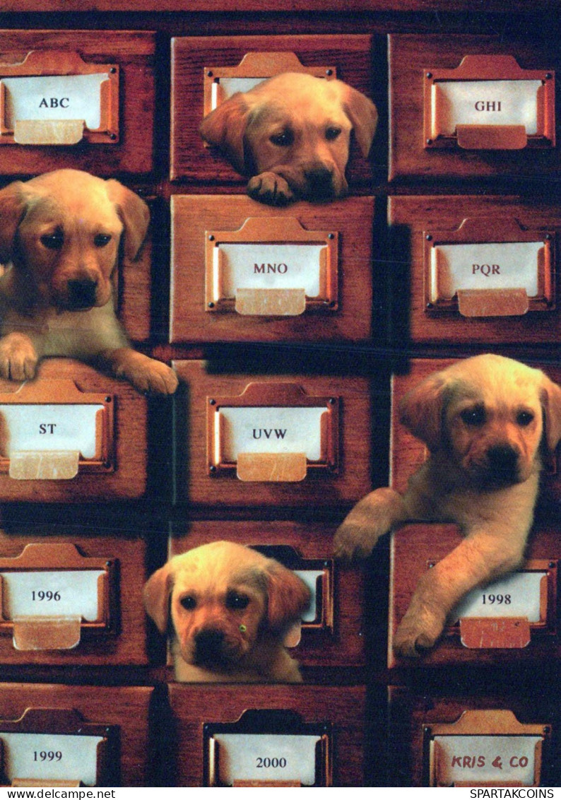 HUND Tier Vintage Ansichtskarte Postkarte CPSM #PBQ526.DE - Chiens