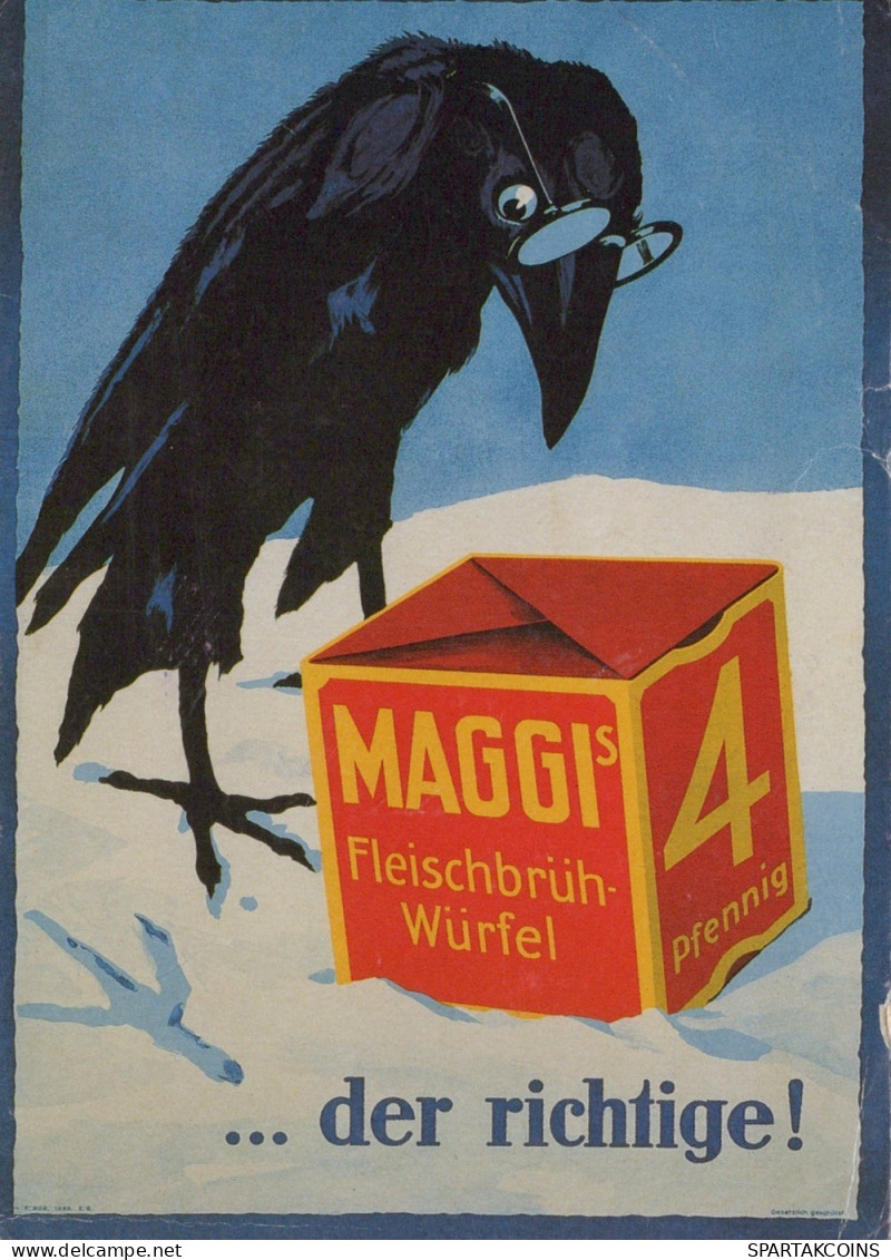 VOGEL Tier Vintage Ansichtskarte Postkarte CPSM #PAN377.DE - Oiseaux