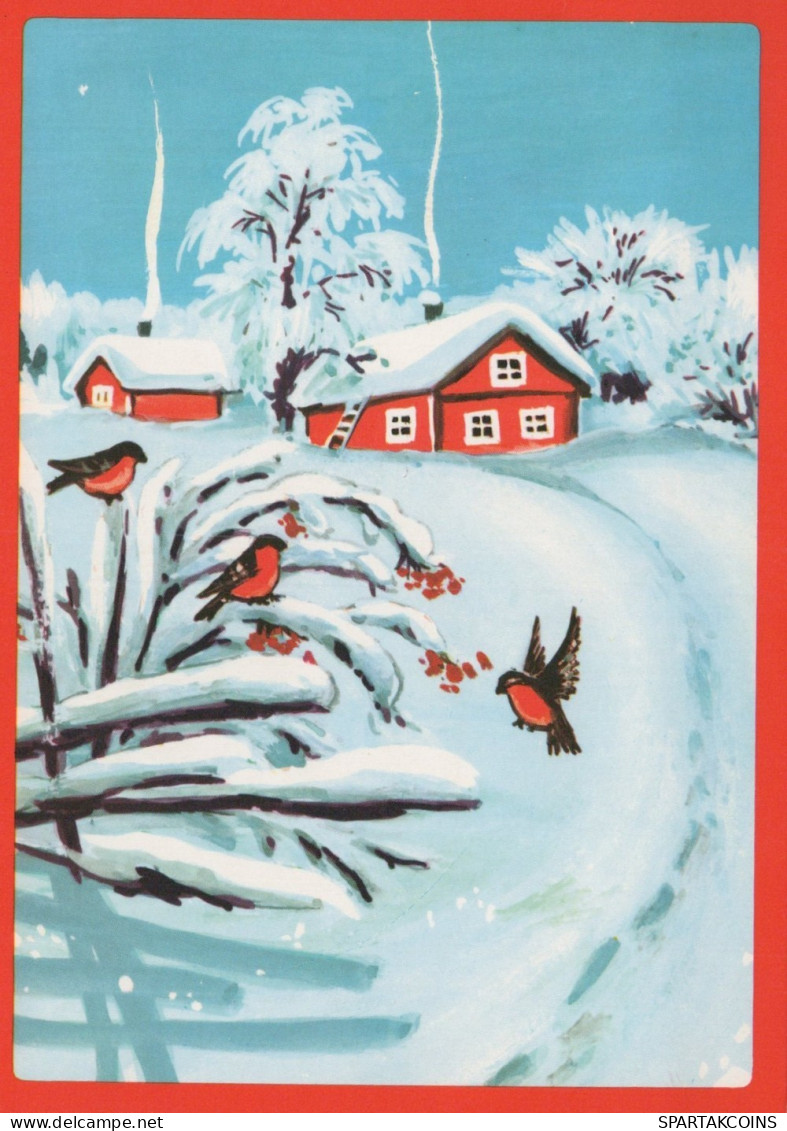 VOGEL Tier Vintage Ansichtskarte Postkarte CPSM Unposted #PAM882.DE - Uccelli
