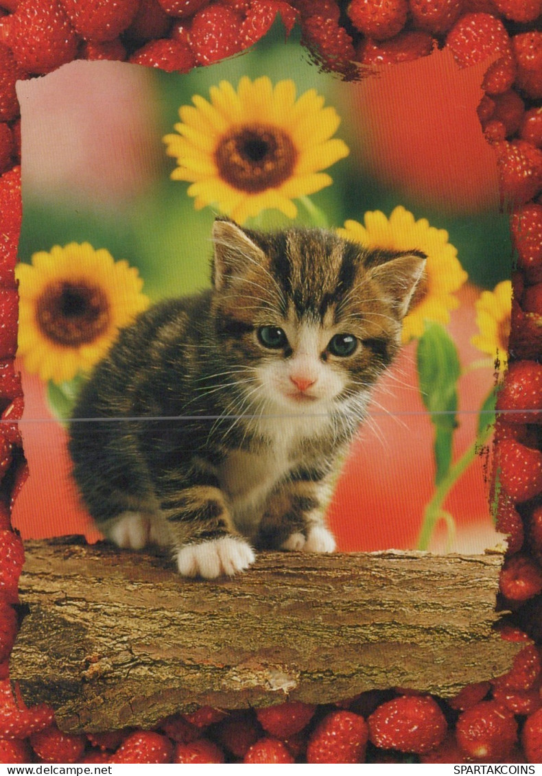 KATZE MIEZEKATZE Tier Vintage Ansichtskarte Postkarte CPSM #PAM129.DE - Katzen