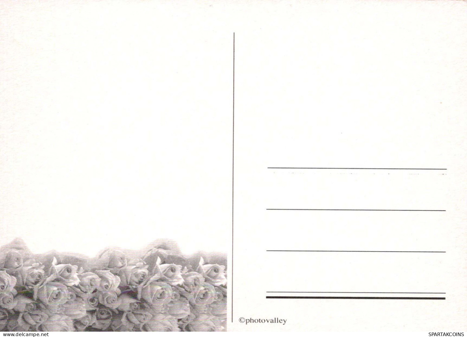 FLEURS Vintage Carte Postale CPSM #PBZ096.FR - Fiori