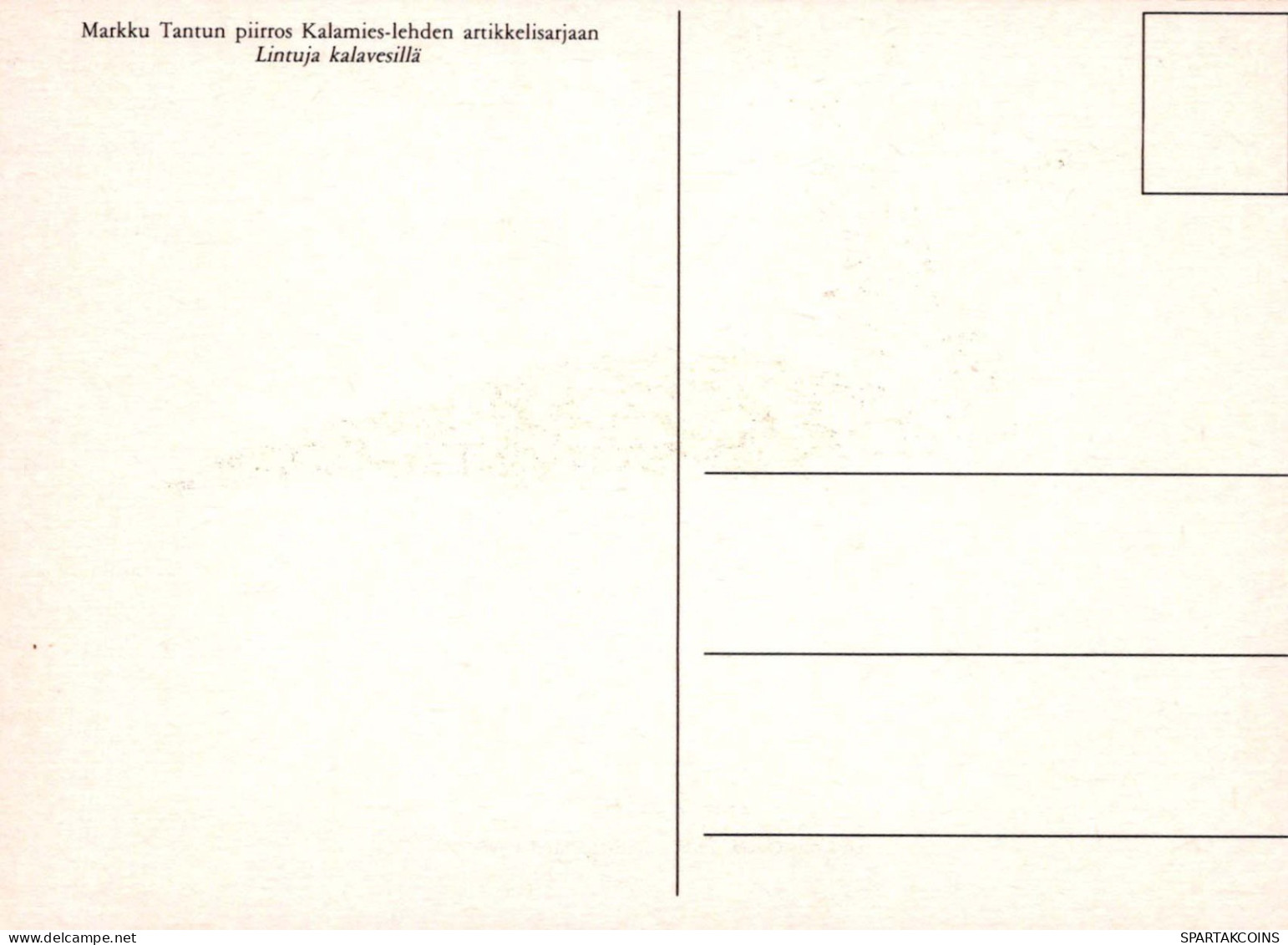 OISEAU Animaux Vintage Carte Postale CPSM #PBR566.FR - Oiseaux
