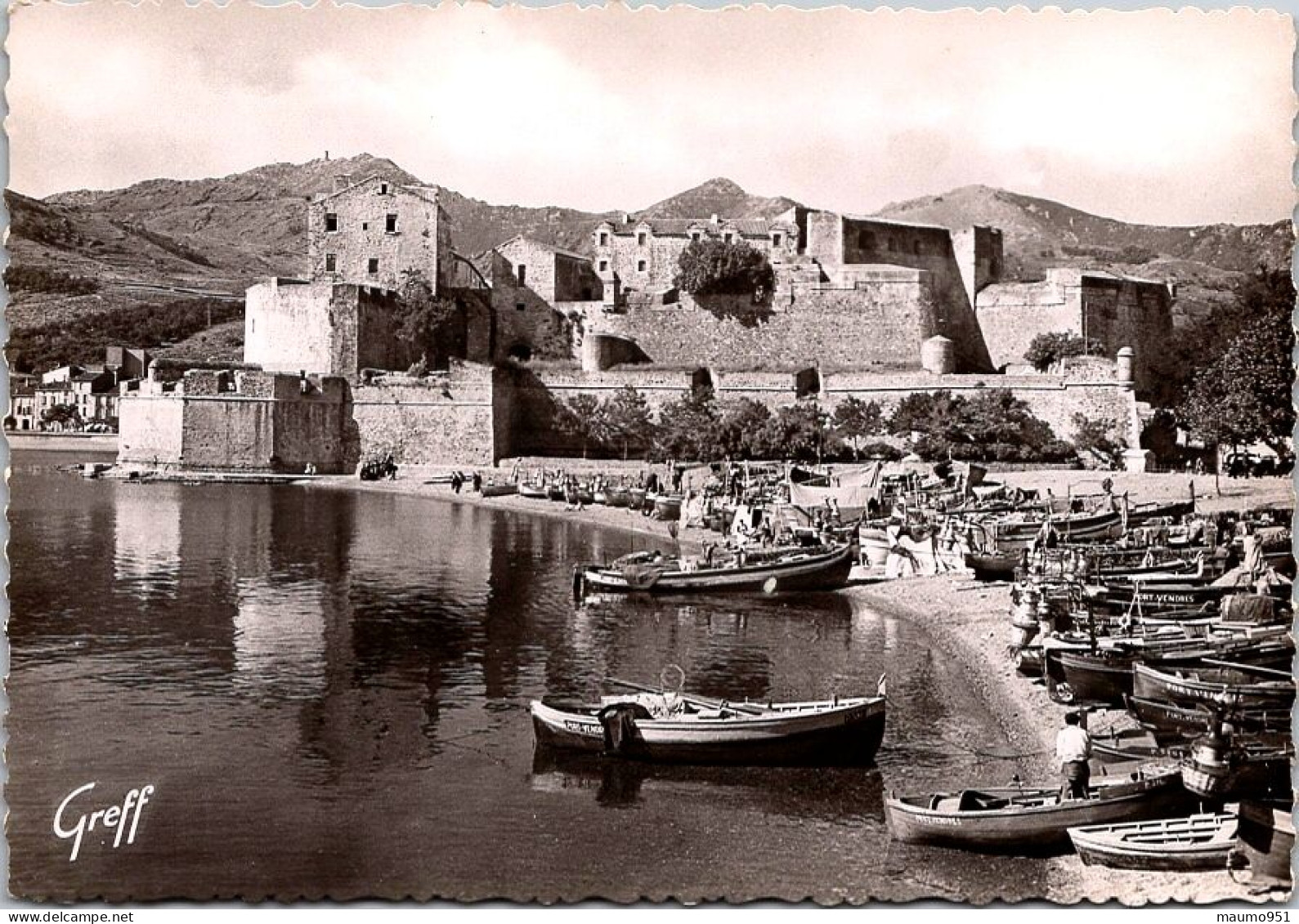 66 COLLIOURE - Le Château Des Templiers . Photographie Véritable - Collioure