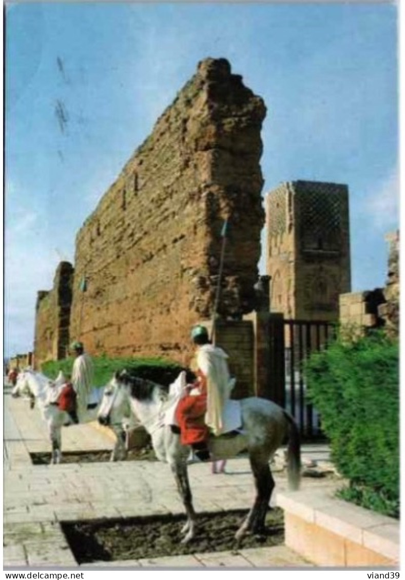 RABAT. -  Gardes De La Tour Hassan Et Du Mausolée De Mohammed V   -  Cachet Post 1994.  Timbre. - Rabat