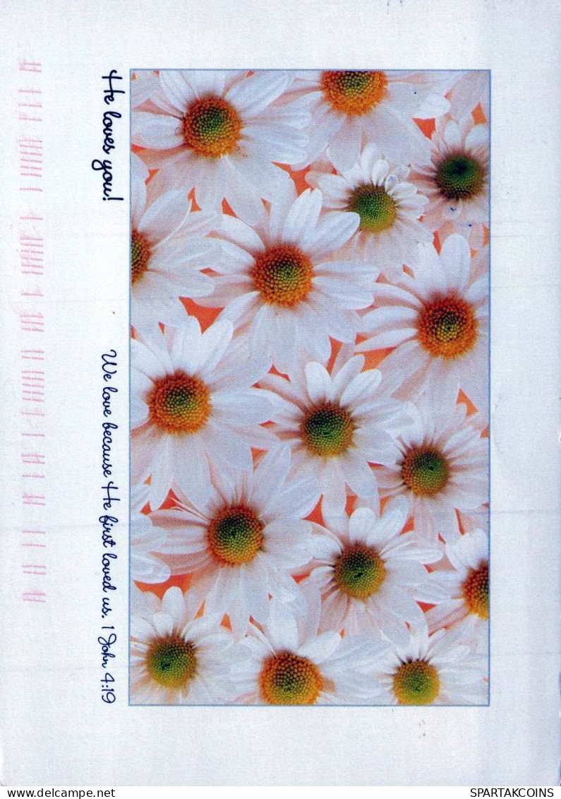 FLEURS Vintage Carte Postale CPSM #PAR448.FR - Flowers