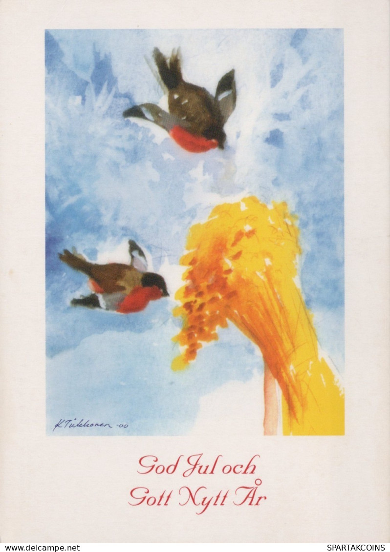 OISEAU Animaux Vintage Carte Postale CPSM #PAN007.FR - Vögel