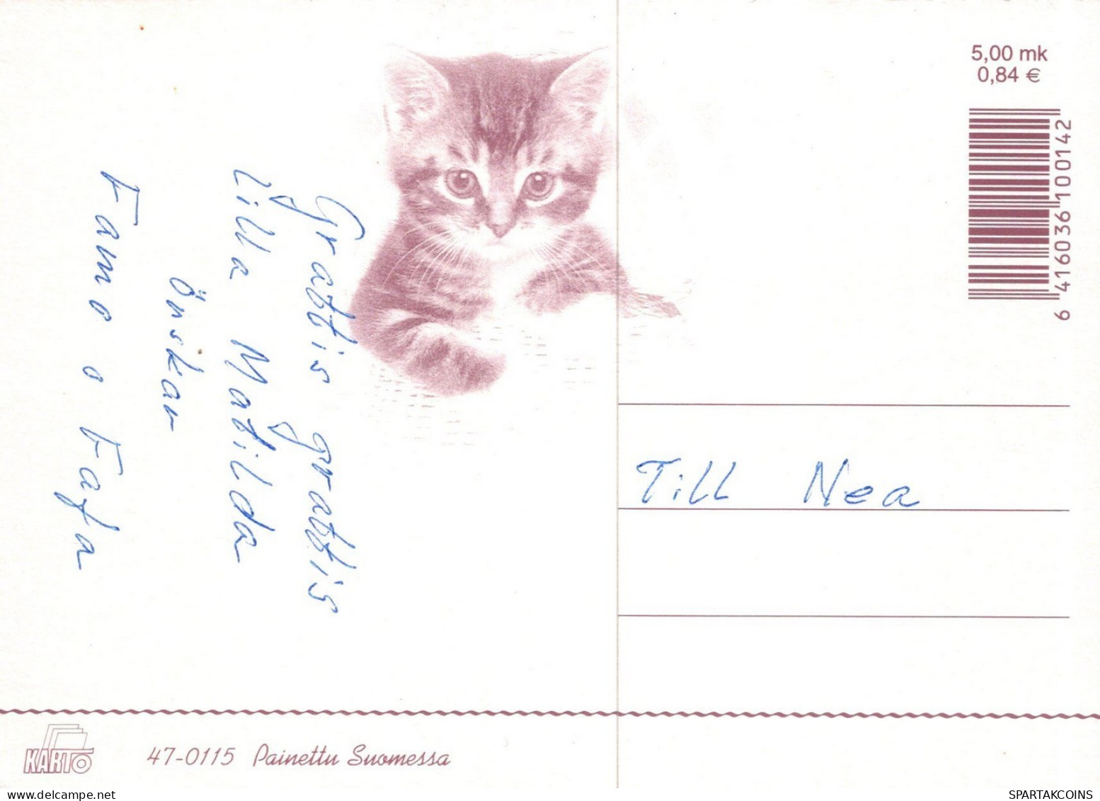 CHAT CHAT Animaux Vintage Carte Postale CPSM #PAM128.FR - Katzen