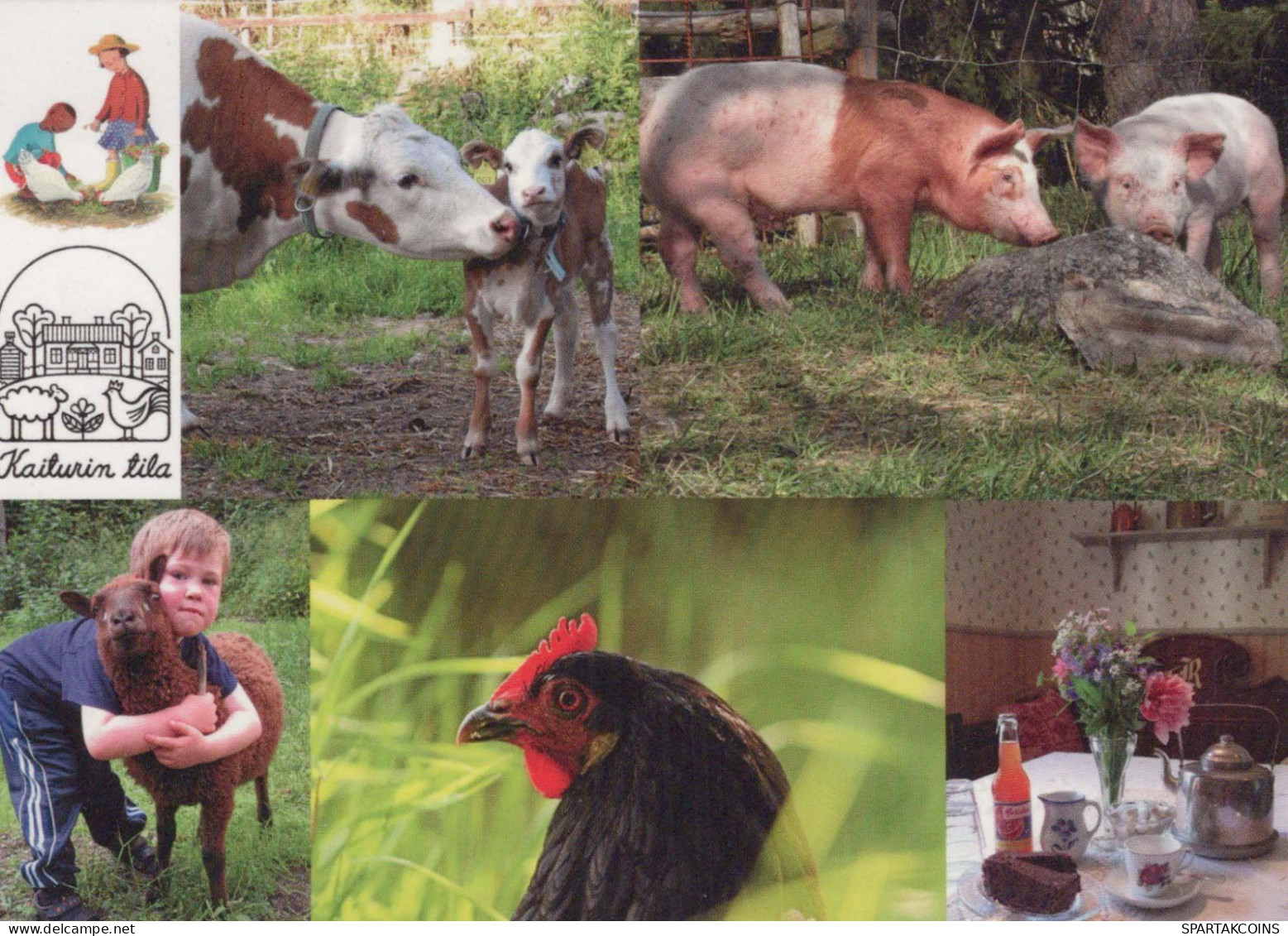 COW Animals Vintage Postcard CPSM #PBR819.GB - Koeien