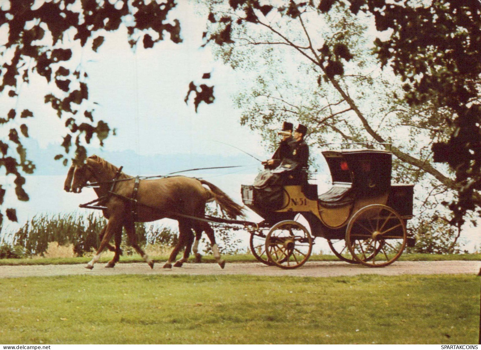 HORSE Animals Vintage Postcard CPSM #PBR894.GB - Cavalli