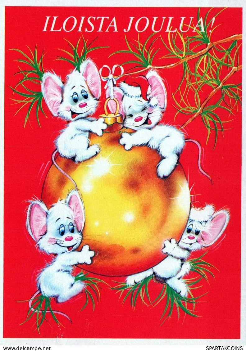 MOUSE Animals Vintage Postcard CPSM #PBR240.GB - Andere & Zonder Classificatie