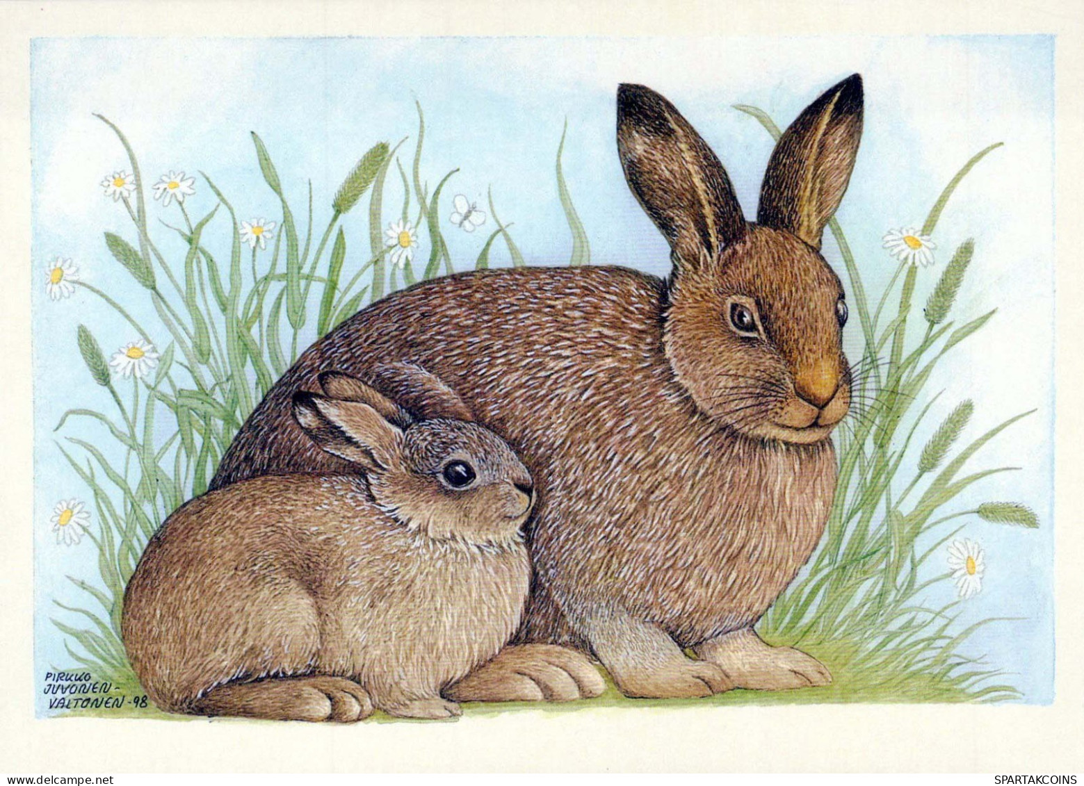 RABBIT Animals Vintage Postcard CPSM #PBR168.GB - Other & Unclassified