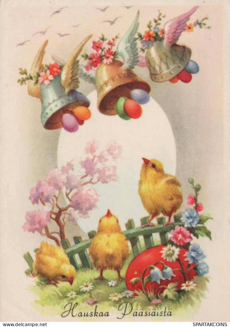 EASTER CHICKEN EGG Vintage Postcard CPSM #PBO805.GB - Pâques