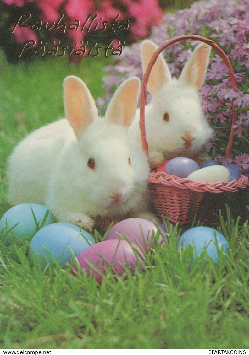 EASTER RABBIT EGG Vintage Postcard CPSM #PBO555.GB - Pâques