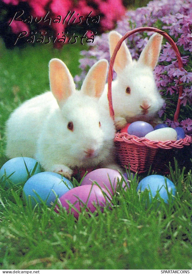 EASTER RABBIT EGG Vintage Postcard CPSM #PBO555.GB - Pâques