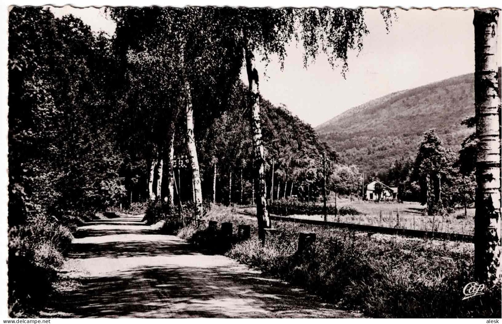 LIEBFRAUENTHAL - Route De Woerth - Other & Unclassified