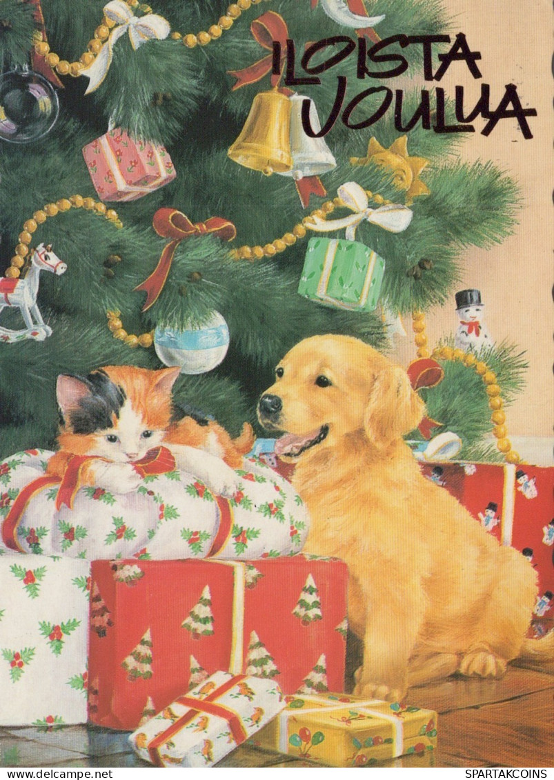 DOG Animals Vintage Postcard CPSM #PAN564.GB - Hunde