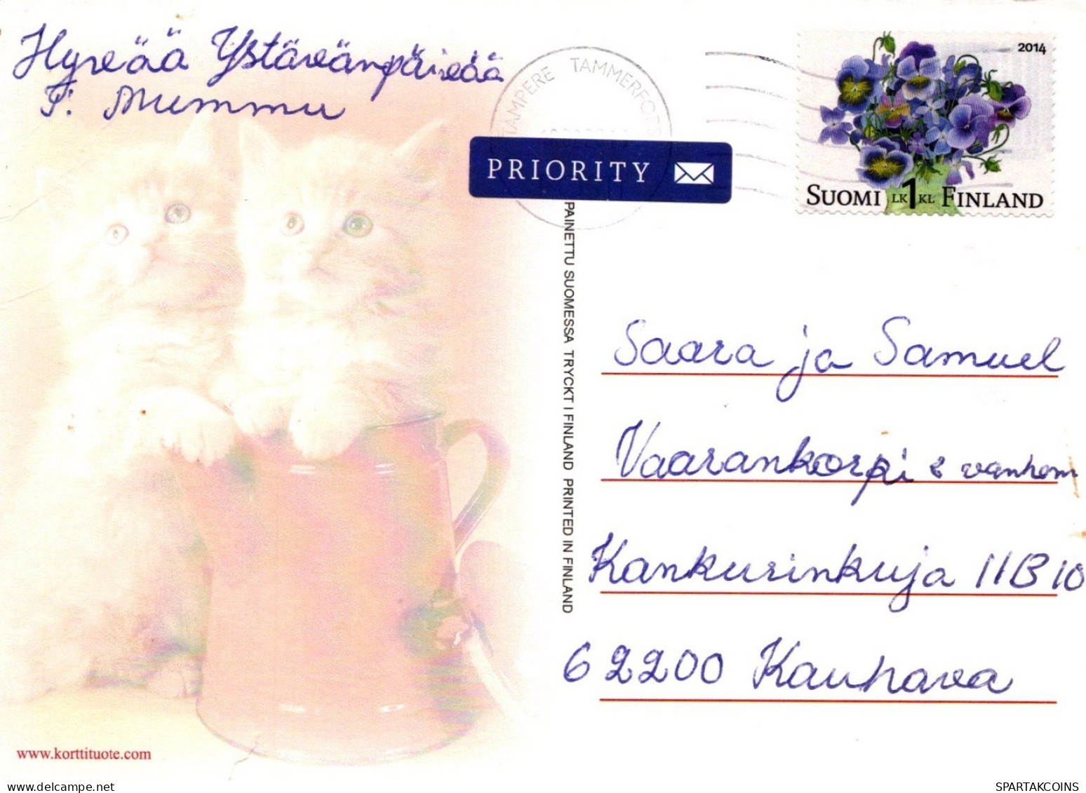 CAT KITTY Animals Vintage Postcard CPSM #PAM561.GB - Katzen