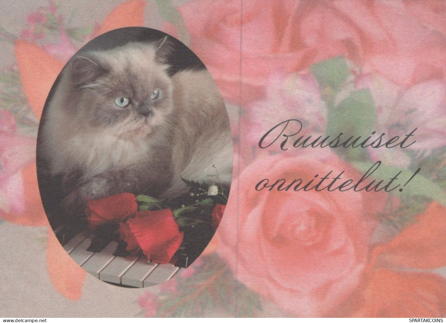CAT KITTY Animals Vintage Postcard CPSM #PAM373.GB - Katzen