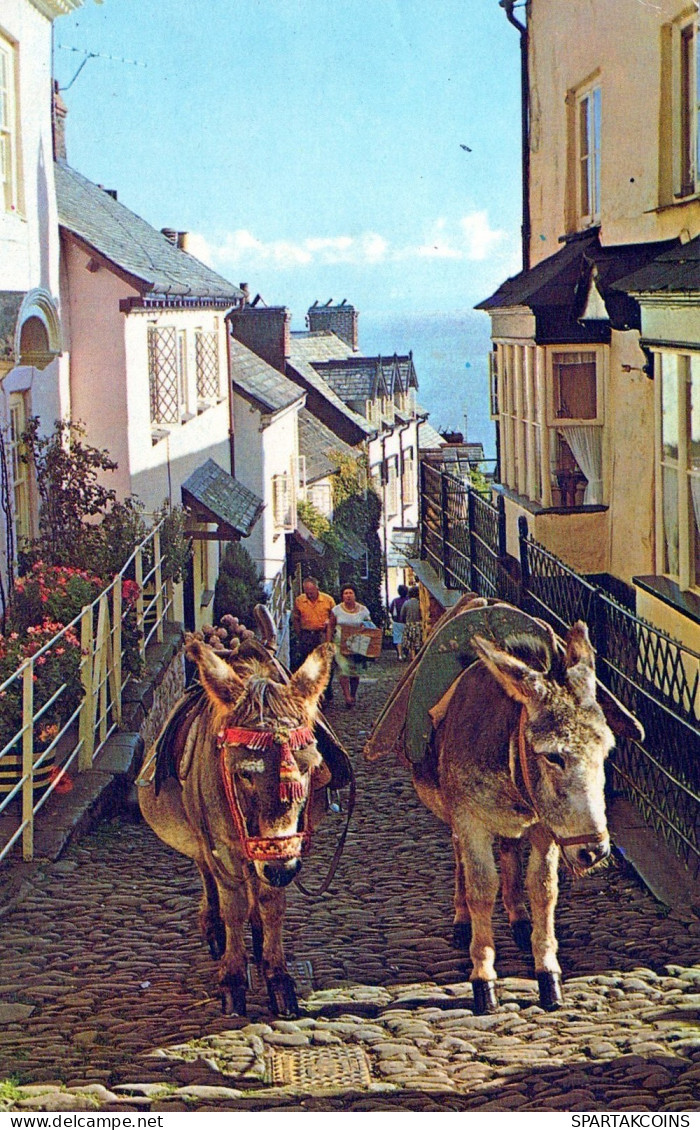 ÂNE Animaux Vintage Antique CPA Carte Postale #PAA257.FR - Donkeys
