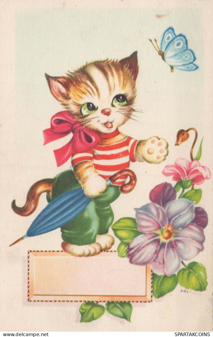 GATTO KITTY Animale Vintage Cartolina CPA #PKE757.IT - Gatos
