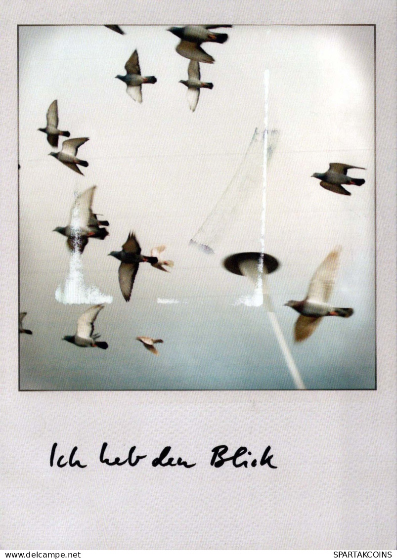 UCCELLO Animale Vintage Cartolina CPSM #PBR385.IT - Birds