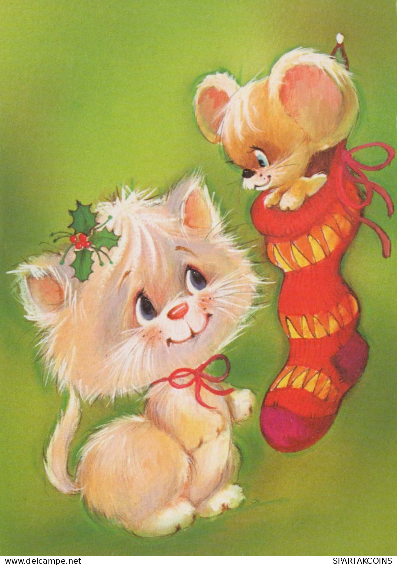 GATTO KITTY Animale Vintage Cartolina CPSM #PBQ794.IT - Gatos