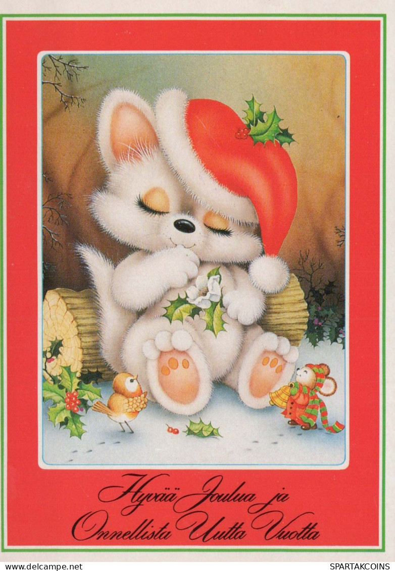 GATTO KITTY Animale Vintage Cartolina CPSM #PBQ854.IT - Gatos
