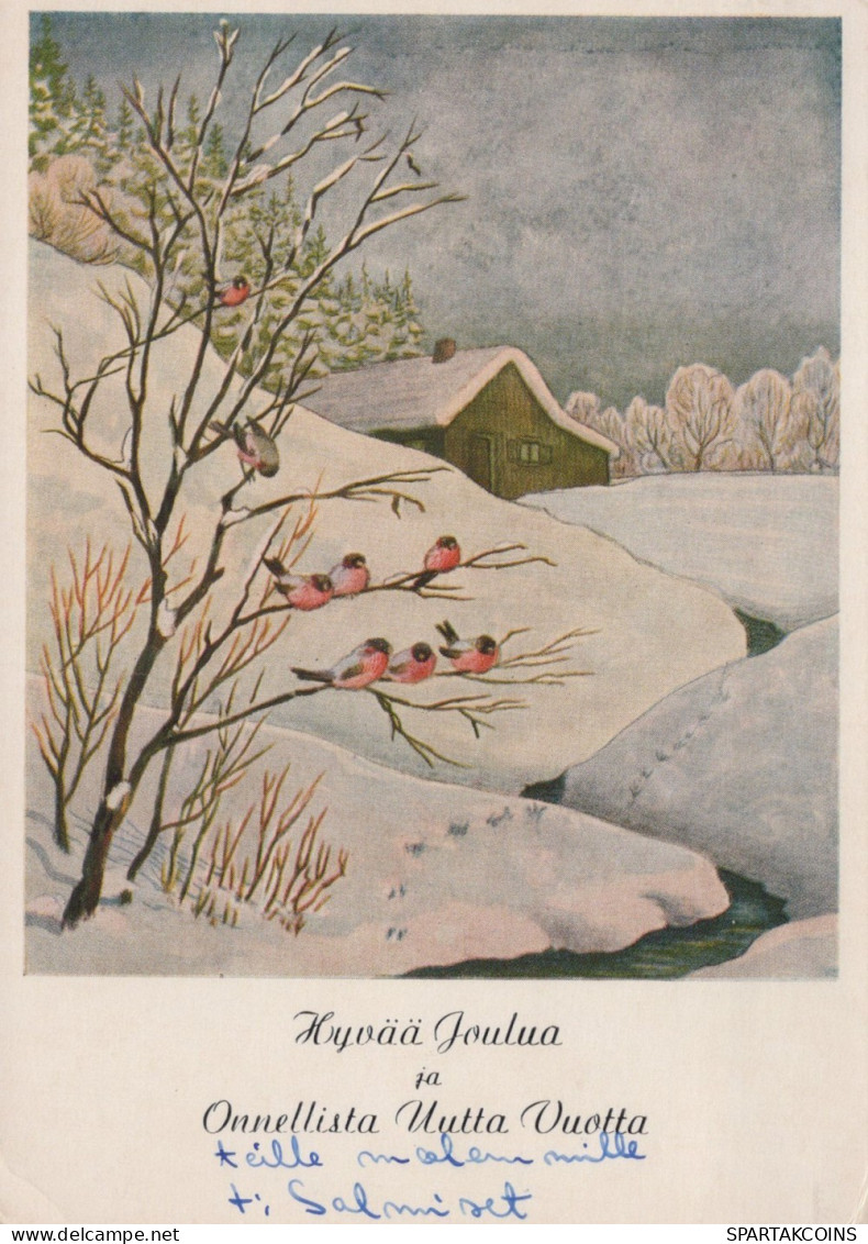 UCCELLO Animale Vintage Cartolina CPSM #PAM759.IT - Birds