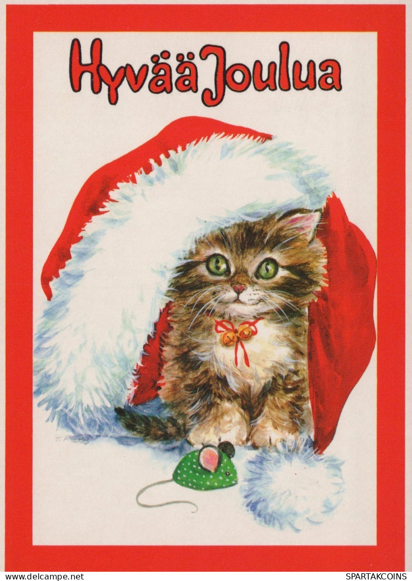 GATTO KITTY Animale Vintage Cartolina CPSM #PAM566.IT - Gatos