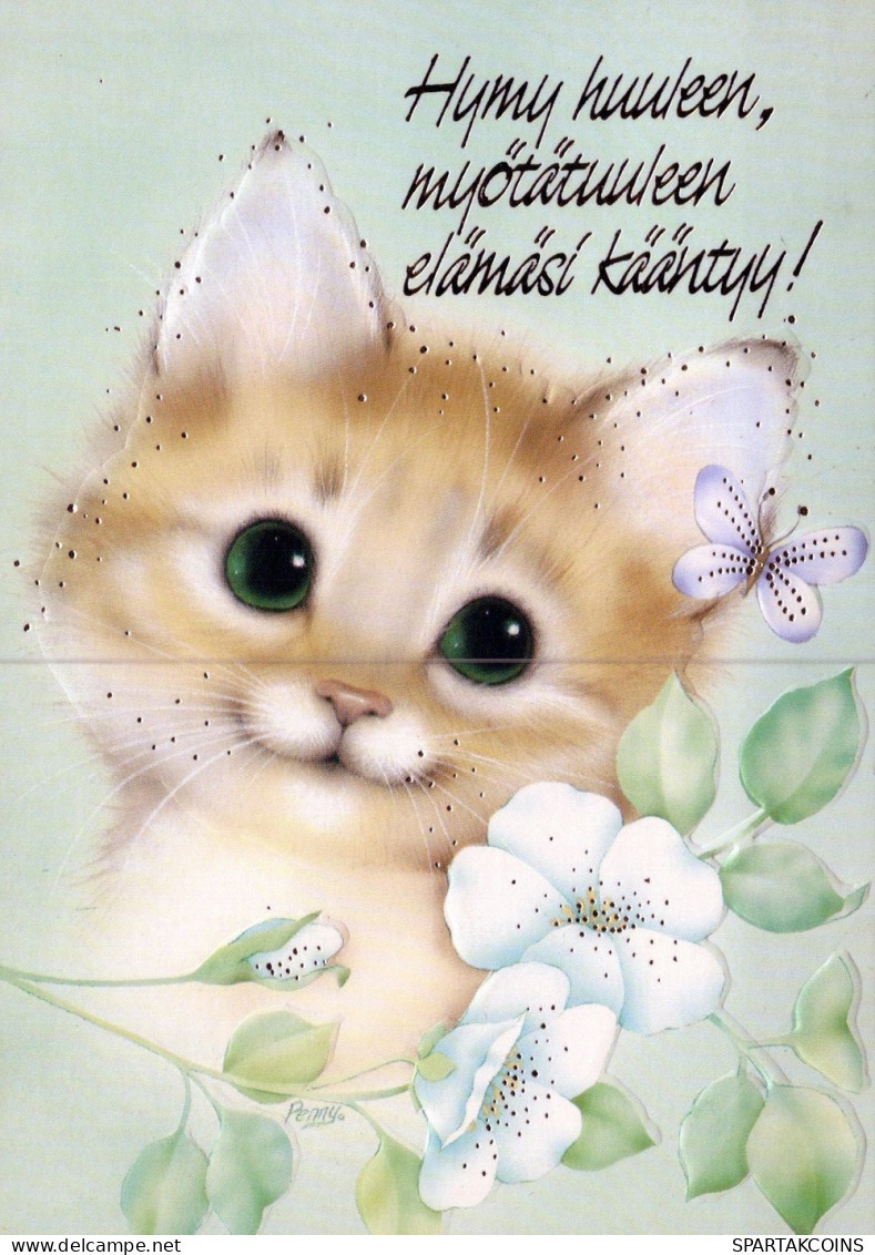 GATTO KITTY Animale Vintage Cartolina CPSM #PAM253.IT - Cats