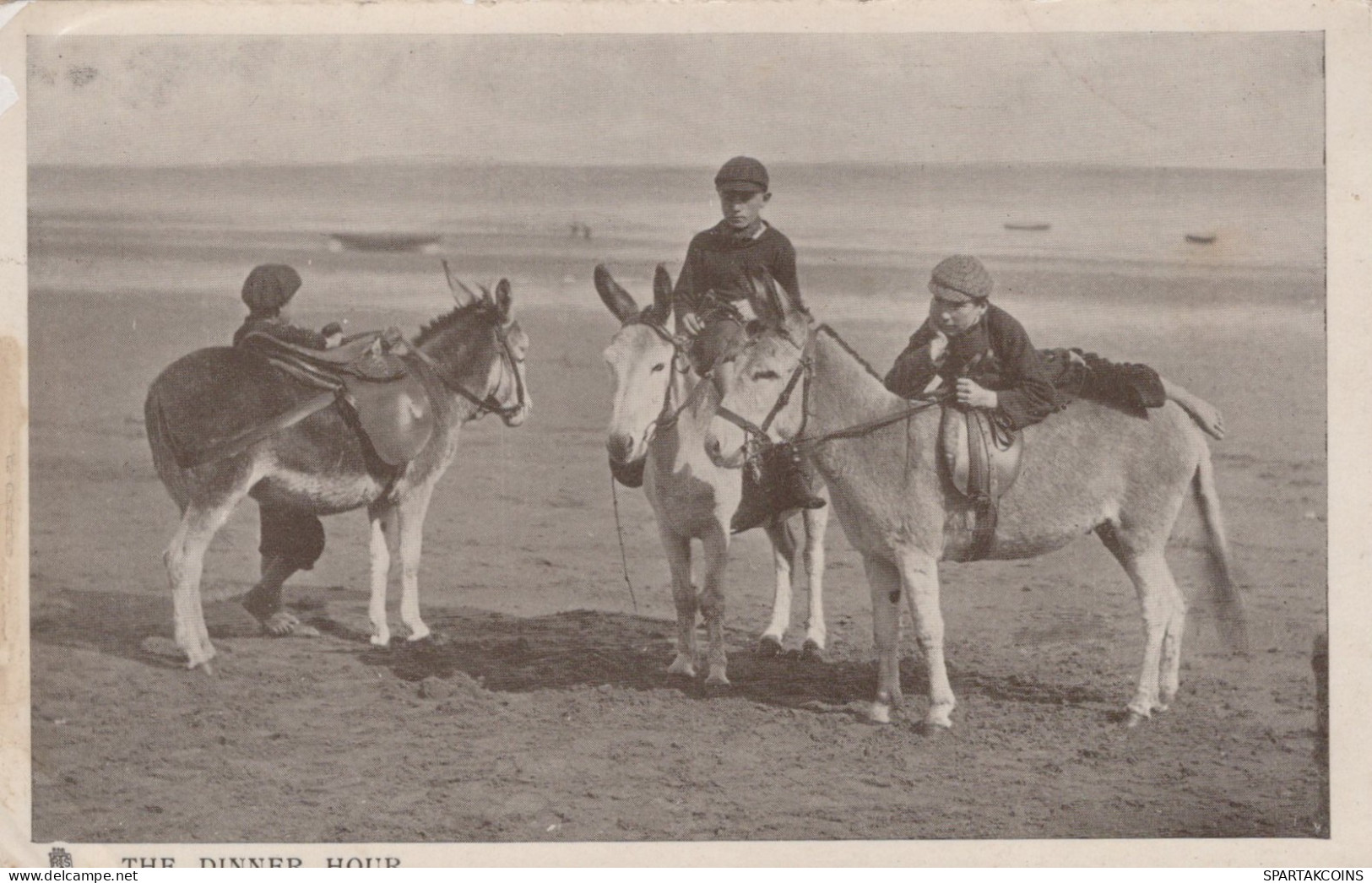 DONKEY Animals Children Vintage Antique Old CPA Postcard #PAA334.GB - Donkeys